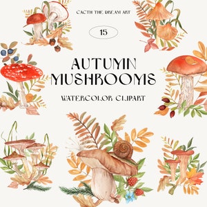 Clipart aquarelle de champignons d'automne - Champignons forestiers Amanita champignons Automne Floral Woodland champignon vénéneux récolte Nature feuillage fleurs sauvages PNG