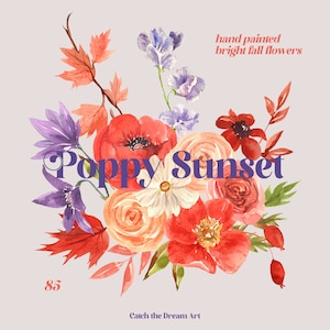 Clipart floral aquarelle coquelicot - feuilles d'automne coquelicots rouges roses bouquets de fleurs violettes grenade fleurs sauvages motif couronne cadre png