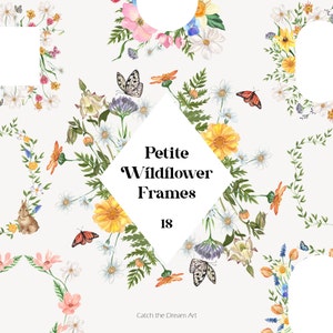 Clipart aquarelle de cadres de fleurs sauvages - fleurs des prairies sauvages minuscules fleurs des champs herbes Clip Art mariage printemps inviter fleur baby shower png