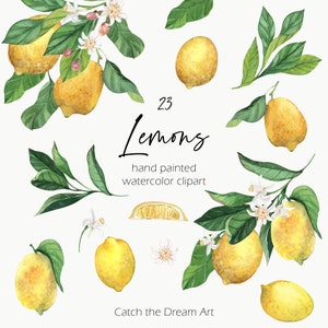 Clipart de limões em aquarela - Clip Art de flor de limão Buquê de frutas cítricas Folhas do Mediterrâneo Squeeze principal Amalfi Itália Adesivos para convites de casamento png
