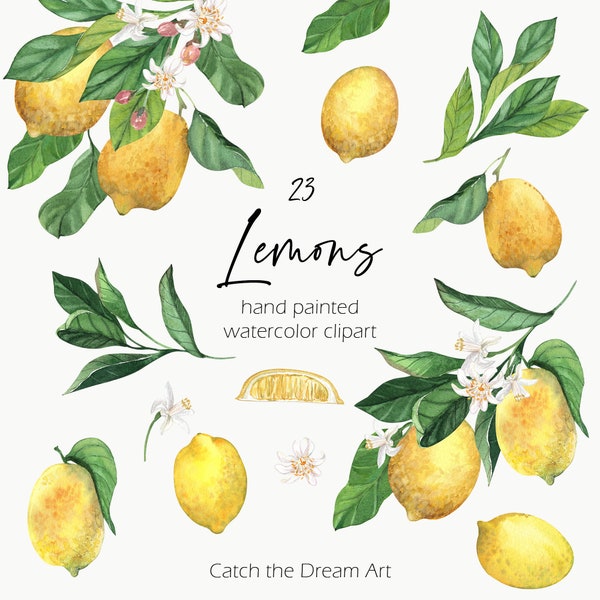 Watercolor Lemons Clipart - Lemon Blossom Clip Art Citrus Bouquet Leaves Mediterranean Main Squeeze Amalfi Italy Wedding Invite Stickers png