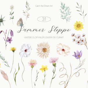 Fleurs sauvages d'été bricolage aquarelle Clipart fleurs sauvages séchées petites herbes papillon prairie fleurs des champs herbier Scrapbook Boho Clip Art png