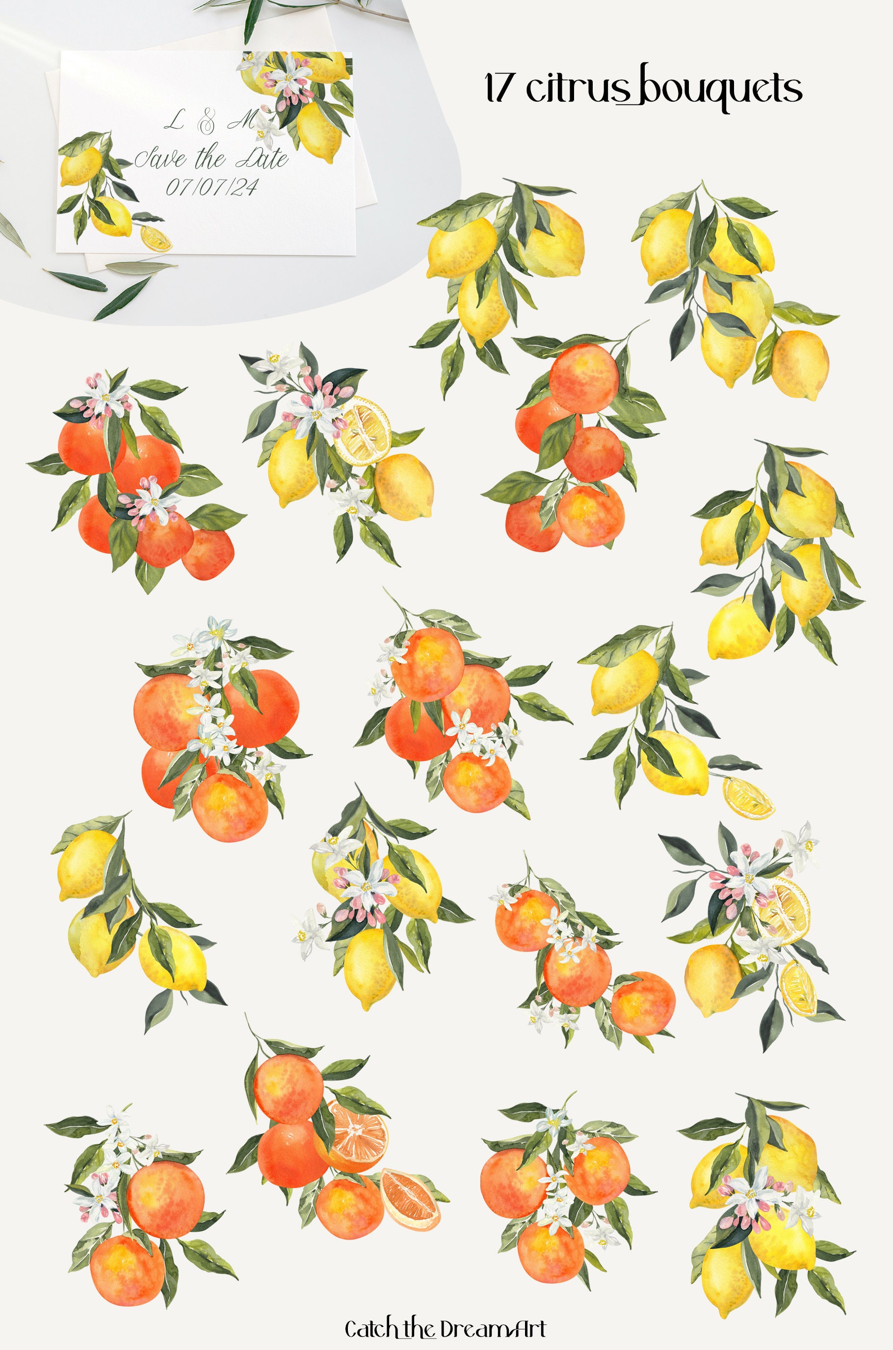 Watercolor Citrus Bouquet Clipart: Lemon, Orange, Blossom (PNG, Digital ...