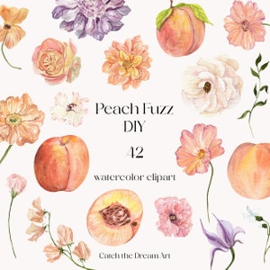 May include: Peach Fuzz DIY watercolor clipart set with 42 images featuring peaches, flowers, and leaves in shades of pink, peach, white, and purple.