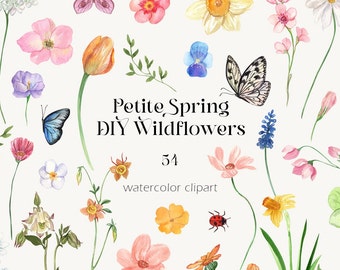 Watercolor Wildflower Clipart – Spring Florals, Butterfly (54 PNG, Digital Download)