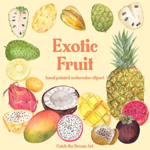 May include: Watercolor illustration of various exotic fruits, including pineapple, mango, dragon fruit, and coconut. The text "Exotic Fruit" is displayed in orange, along with "hand painted watercolor clipart" and "Catch the Dream Art".
