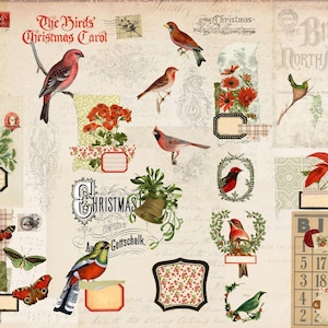 May include: A vintage collage featuring illustrations of birds, flowers, and Christmas-themed elements. The design includes the text "The Birds' Christmas Carol" and a bingo card. The color palette is dominated by reds, greens, and beige.
