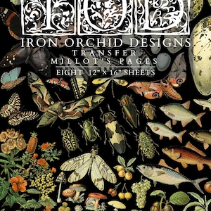 Millot&#39;s Page IOD Transfer Pad with (8) 12 X 16 Sheets by Iron Orchid Designs Rub-On Furniture Transfer Decal