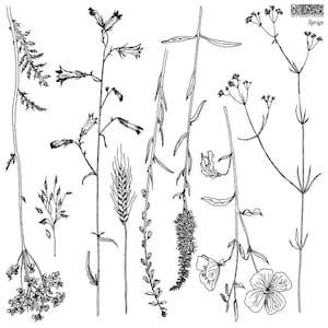 May include: Black and white line art illustration of various sprigs and floral elements. The image includes detailed drawings of different plant stems, flowers, and leaves, with the word "Sprigs" in the upper right corner.