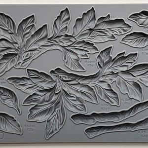 Viridis IOD décor mould 6 x 10 - by Iron Orchid Designs
