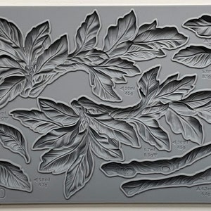 Viridis IOD décor mould 6 x 10 - by Iron Orchid Designs - New Release