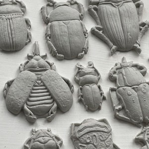 Specimens IOD décor mould 6 x 10 by Iron Orchid Designs New Release 画像 2