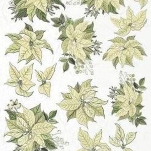 May include: A collection of decorative paper cutouts featuring illustrations of cream-colored poinsettia flowers with green leaves and small berries. The botanical designs are arranged in various sizes and clusters across a white background.