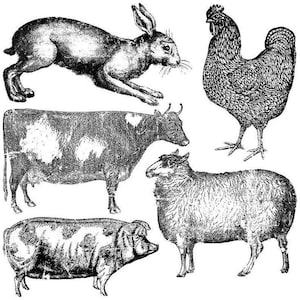 Farm animals 12 x 12 IOD stamp - by Iron Orchid Designs