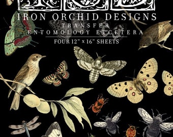 May include: Black background with vintage illustrations of butterflies, moths, beetles, dragonflies, and a frog. The text reads "Iron Orchid Designs Transfer Entomology Etcetera" and "Four 12" x 16" Sheets."