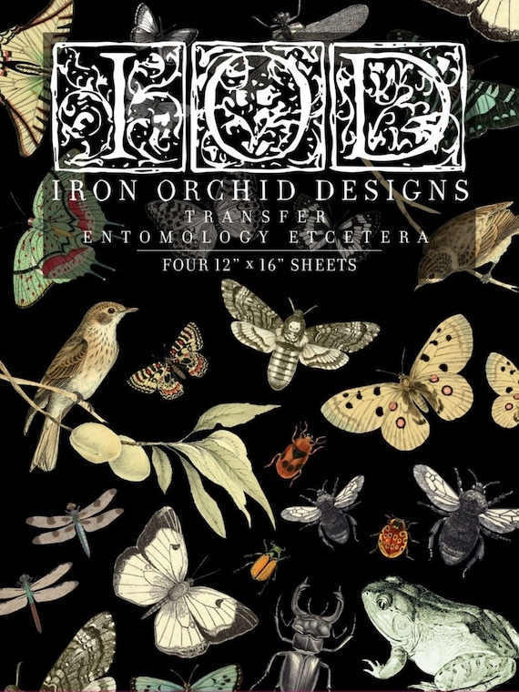 Entomology Etcetera IOD Transfer Pad with (4) 12 X 16 Sheets by Iron Orchid Designs Rub-On Furniture Transfer Decal
