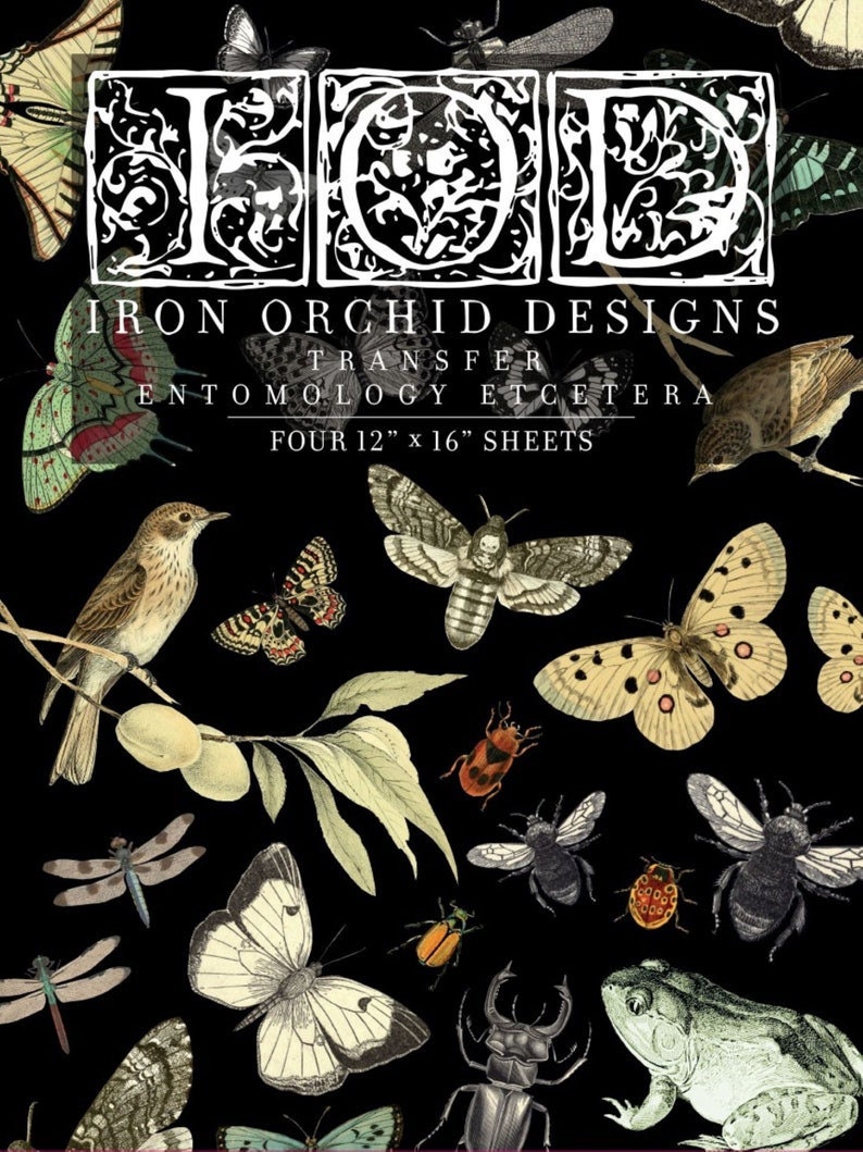 Puede incluir: Fondo negro con ilustraciones vintage de insectos y una rana. El texto dice "Iron Orchid Designs Transfer Entomology Etcetera" y "Four 30.5cm x 40.6cm Sheets". Incluye mariposas, polillas y escarabajos.