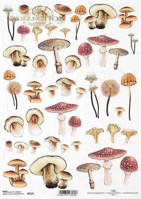 Mushroom paperweight MM