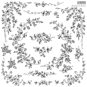 May include: A collection of black and white illustrations of brambles and berries. The illustrations are in a vintage style and feature various types of berries, leaves, and vines.