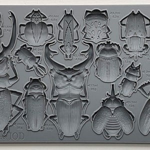 Specimens IOD décor mould 6 x 10 - by Iron Orchid Designs - New Release