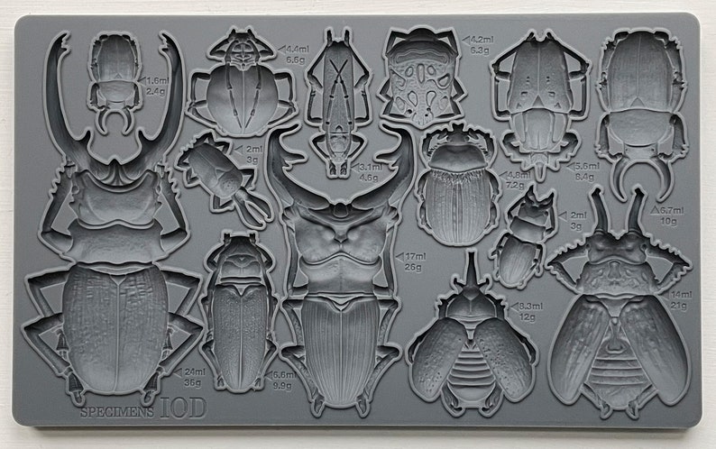 Specimens IOD décor mould 6 x 10 by Iron Orchid Designs New Release 画像 1