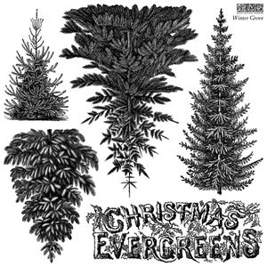 May include: A black and white graphic sheet featuring four distinct evergreen tree illustrations and the text "CHRISTMAS EVERGREENS" at the bottom, with "IOD" and "Winter Grove" printed in the top right corner in a detailed ink style.