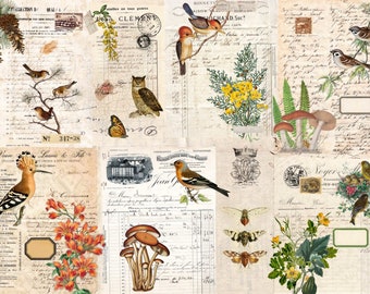 Roycycled Decoupage Paper | Fall Botanical Project Blocks 20" x 29" Sheet