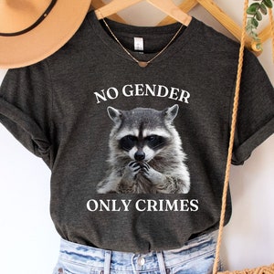 May include: Dark grey heather t-shirt with a raccoon graphic and the text "NO GENDER ONLY CRIMES".
