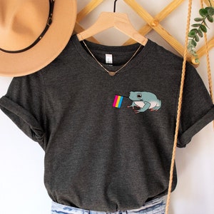 Pansexual T Shirt, Subtle Pan Gift, All Of The Above, Pride Month Tshirt, Gender Neutral / Unisex Adult Tee, LGBT Flag Colors, LGBTQ Present