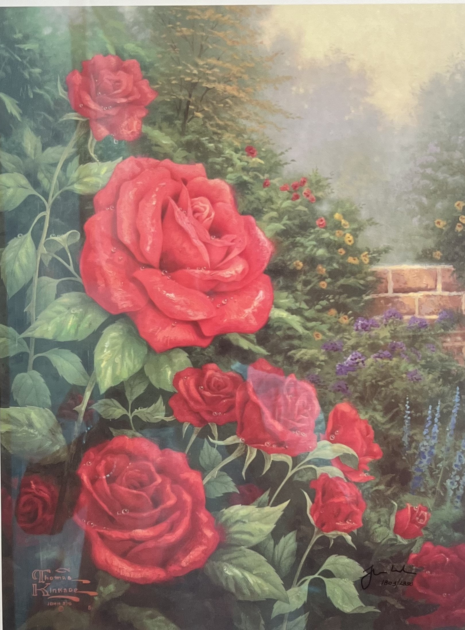 Thomas Kinkade "a Perfect Red Rose" the Rose Collection 11 Signed