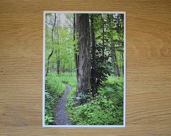 Forest Pathway Photography Print, 5"x7" and 8"x12" Photograph, Home Décor Wall Art, Landscape Photography, Plant Lover Gift, Emerald Green