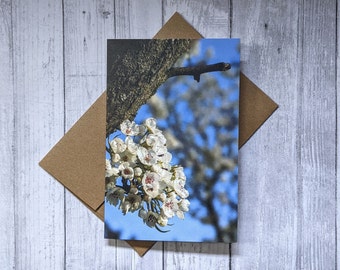 Spring Blooms Greeting Card, Flower Greeting Card, 4x6 Blank Card with Kraft Envelope, Plant Lover Gift, Birthday Thank You Wedding Sympathy