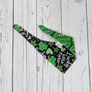 St Patrick&#39;s Day Bandana, Lucky Pet Bandana, Shenanigans Bandana, Funny Bandana, Adult Humor Bandana, Funny Cat Bandanas, Funny Dog Bandanas