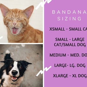 May include: A chart with bandana sizing information for cats and dogs. The chart lists the sizes as X-Small, Small, Medium, Large, and X-Large. The chart also includes the corresponding animal size for each bandana size. For example, X-Small is for small cats, Small is for large cats or small dogs, Medium is for medium dogs, Large is for large dogs, and X-Large is for extra-large dogs.