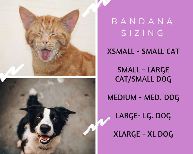 May include: A chart with bandana sizing information for cats and dogs. The chart lists the sizes as X-Small, Small, Medium, Large, and X-Large. The chart also includes the corresponding animal size for each bandana size. For example, X-Small is for small cats, Small is for large cats or small dogs, Medium is for medium dogs, Large is for large dogs, and X-Large is for extra-large dogs.