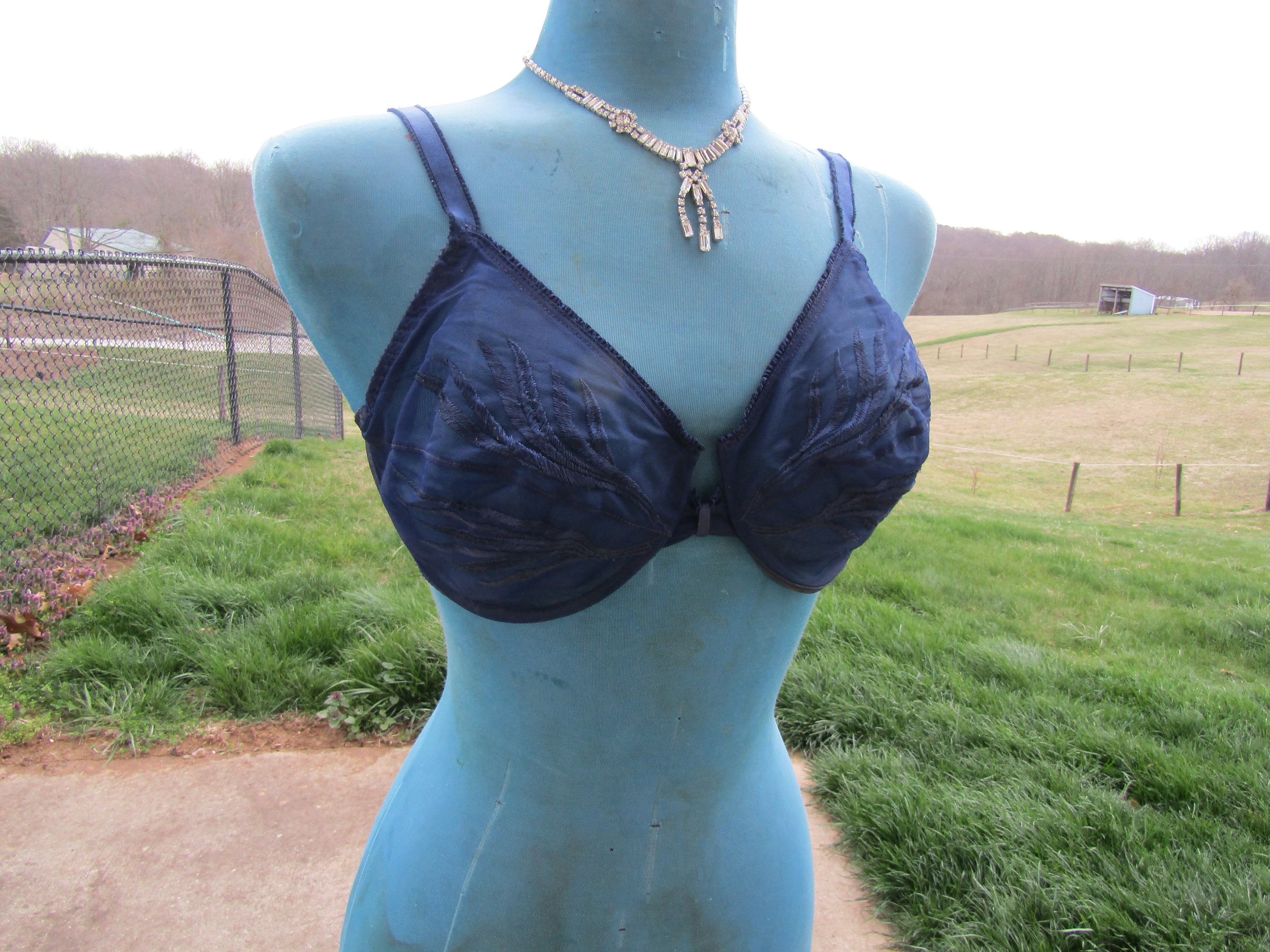 Vintage Blue Bra 