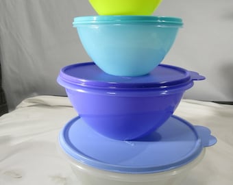 Tupperware Duo Tup Matraz térmico Recipiente de bebida caliente o fría A  prueba de fugas Doble pared Fácil vertido -  España