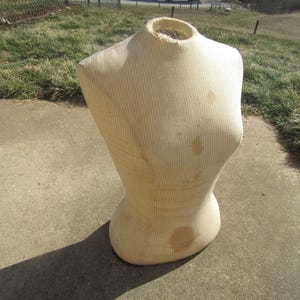 vintage female bust mannequin