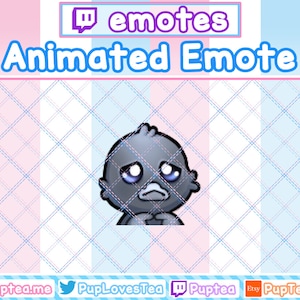 ANIMATED Cute Crow / Raven Shy Emote - Twitch and Discord Emote