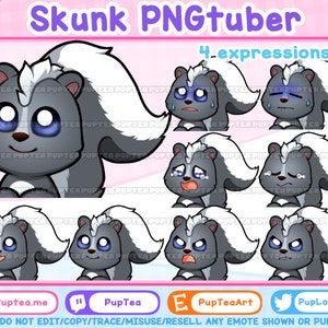 Cute Skunk PNGtuber / Premade PNGtuber / Veadotube Mini / Voice Reactive Stream Mascot / Vtuber Twitch Discord / Vtuber Assets