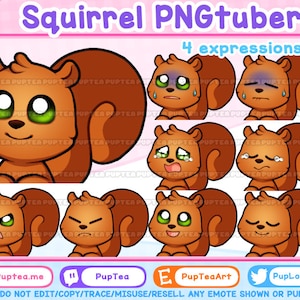 Cute Squirrel PNGtuber / Premade PNGtuber / Veadotube Mini / Voice Reactive Stream Mascot / Vtuber Twitch Discord / Vtuber Assets