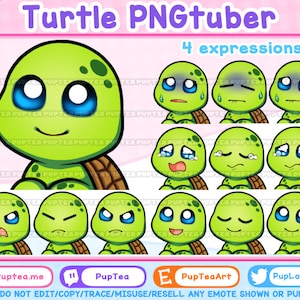 Cute Turtle PNGtuber / Premade PNGtuber / Veadotube Mini / Voice Reactive Stream Mascot / Vtuber Twitch Discord / Vtuber Assets