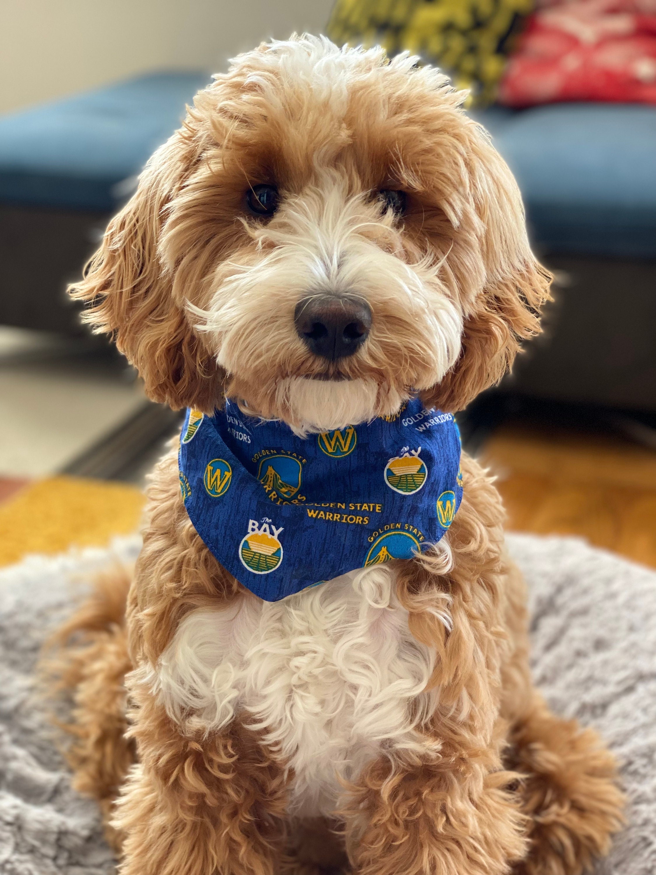 Golden State Warriors Dog Pet Pink Mesh Jersey Bandana - Spawty