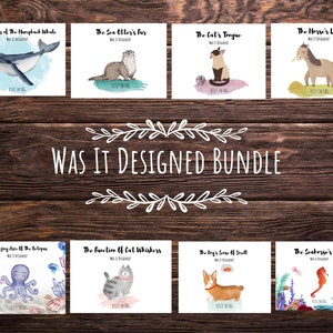 JW / Was It Designed / Paquete de tarjetas / Ideas ministeriales / Titular de tarjetas