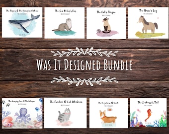 JW | Was It Designed | Card Bundle | Ministry Ideas | Card Holder