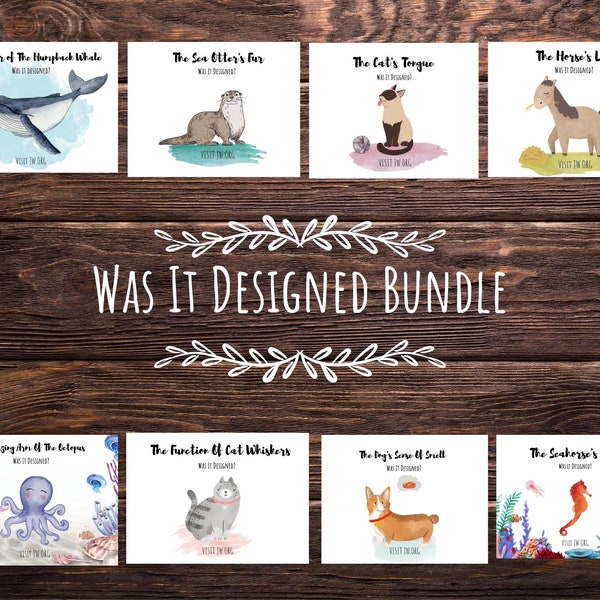 JW | Was It Designed | Card Bundle | Ministry Ideas | Card Holder