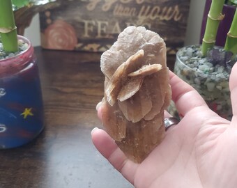 Desert Rose, Selenite Gypsum Rose Stone, Crystal