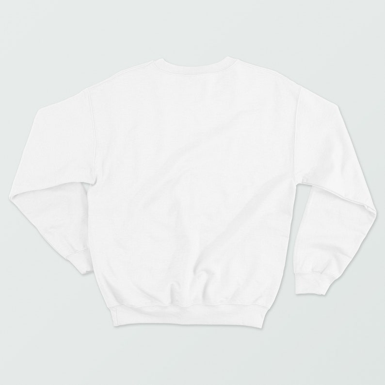 May include: A plain white crew neck sweatshirt with long sleeves.