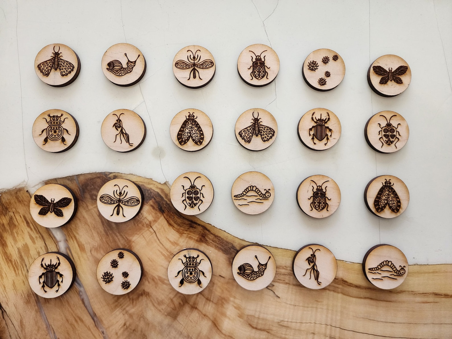 Bug Memory Game, SVG Download, Educational Kids Games, Kids Learning ...