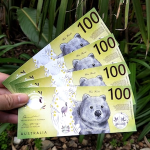 100 Dollar Umweltfreundliche Australischer Prop Geld Wombat / Recyclingpapier / Banknoten Platzhalter Haushalt Aussie Bargeldumschlag Füllung
